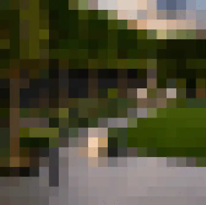 Hamsesticht 3 Dongen thumbnail 44