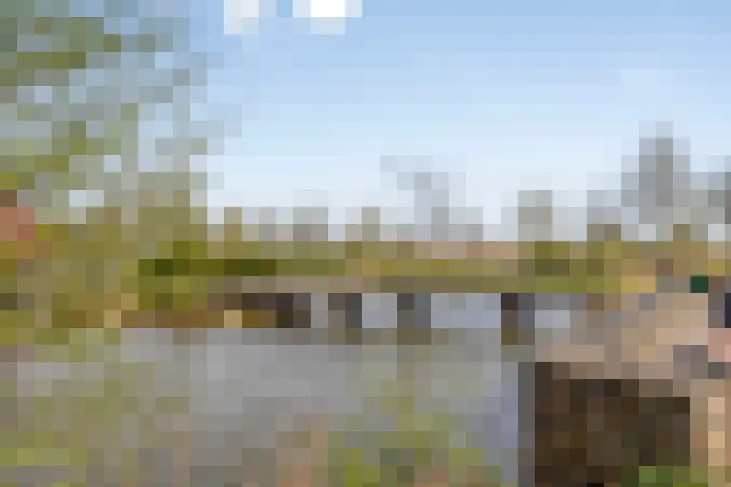 Hamsesticht 3 Dongen thumbnail 45