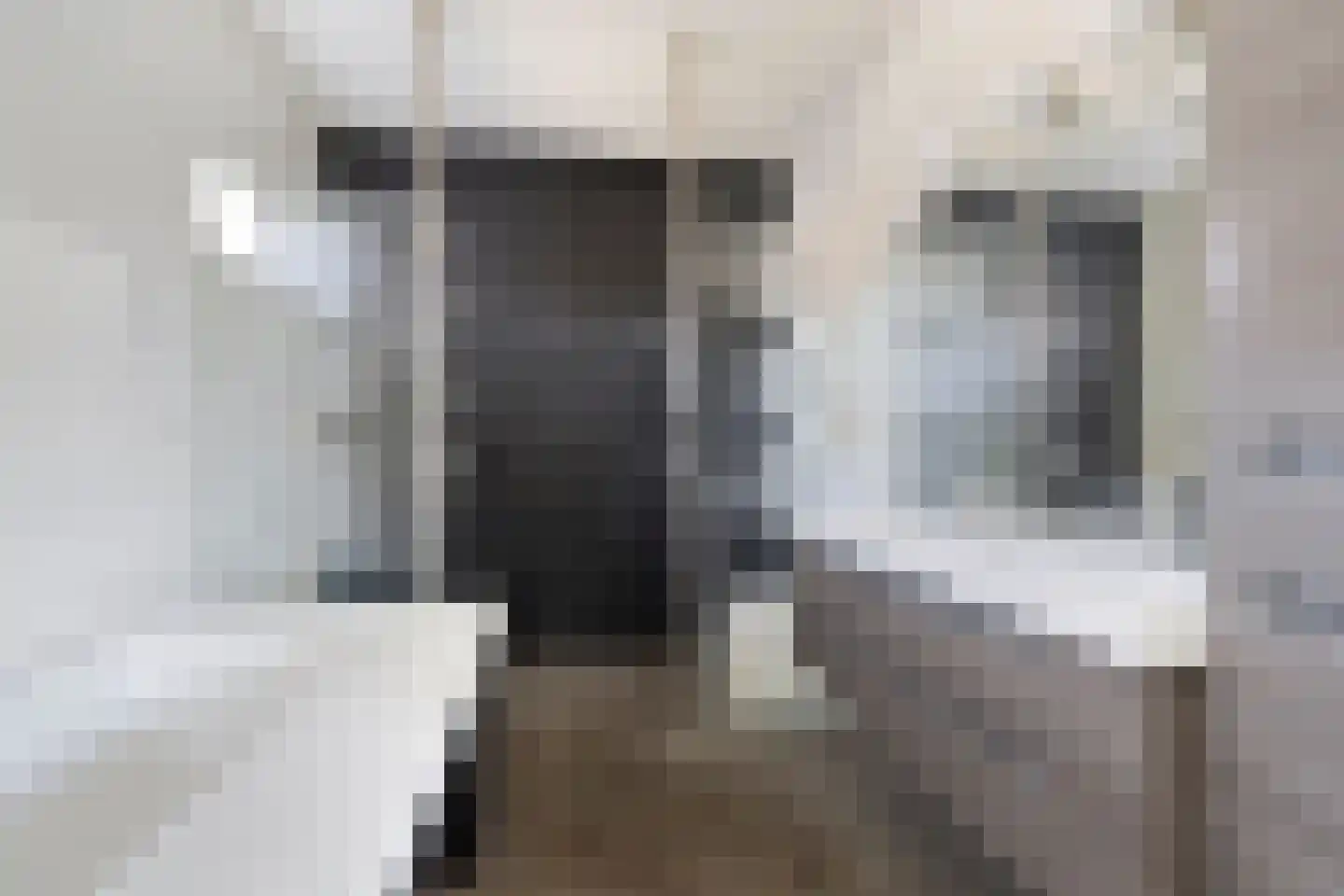 Hamsesticht 3 Dongen thumbnail 5