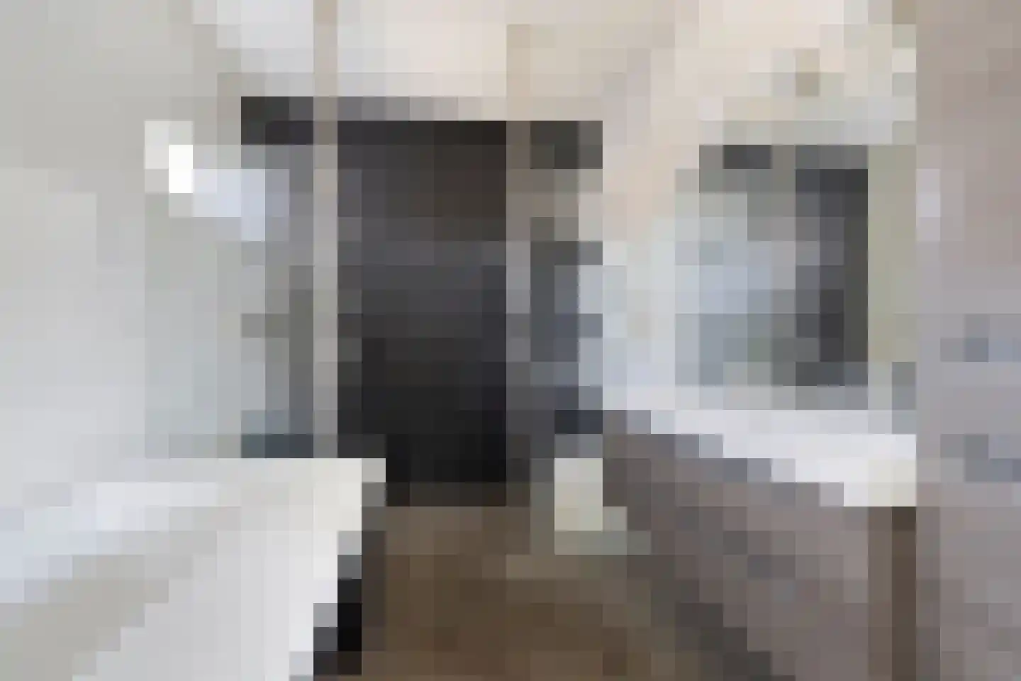 Hamsesticht 3 Dongen thumbnail 6