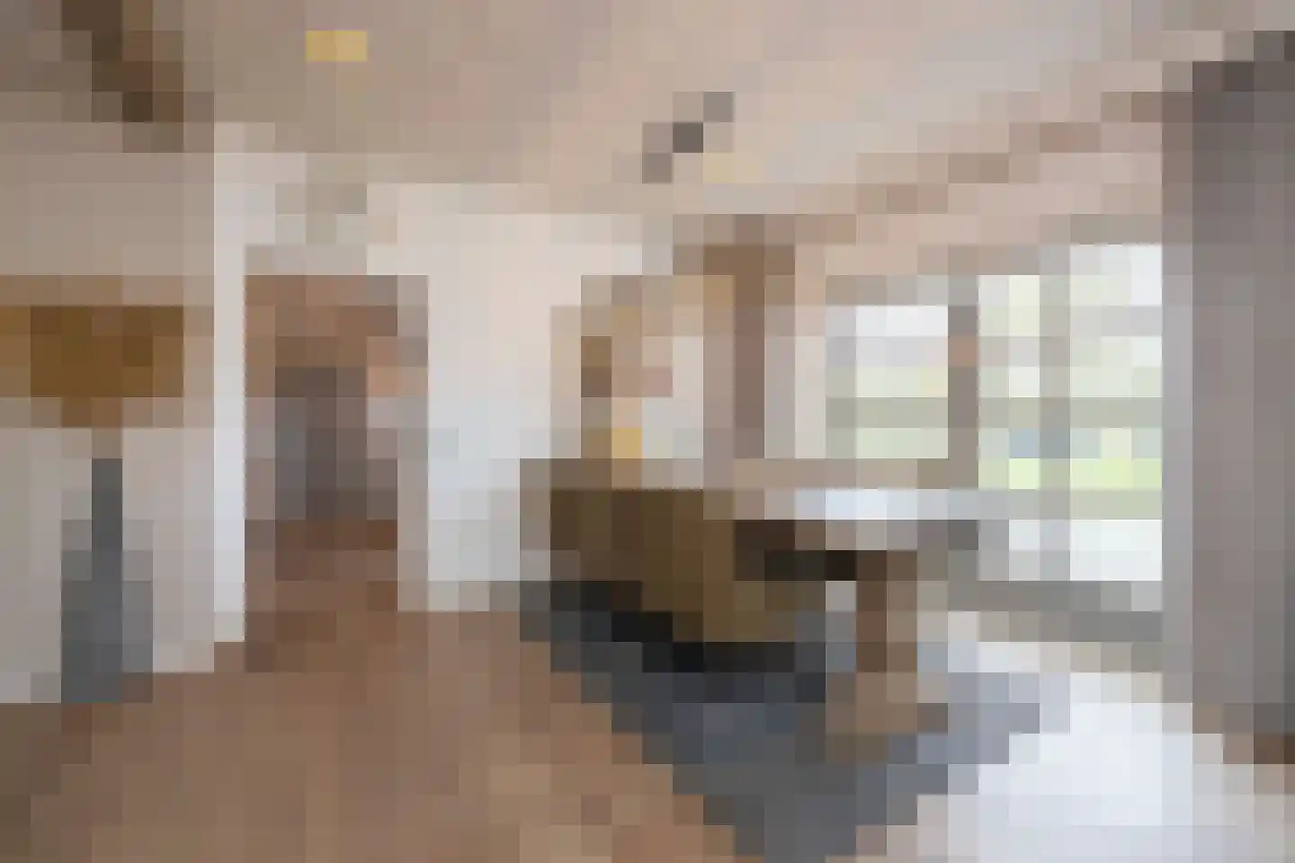 Hamsestraat 24 Liempde thumbnail 14