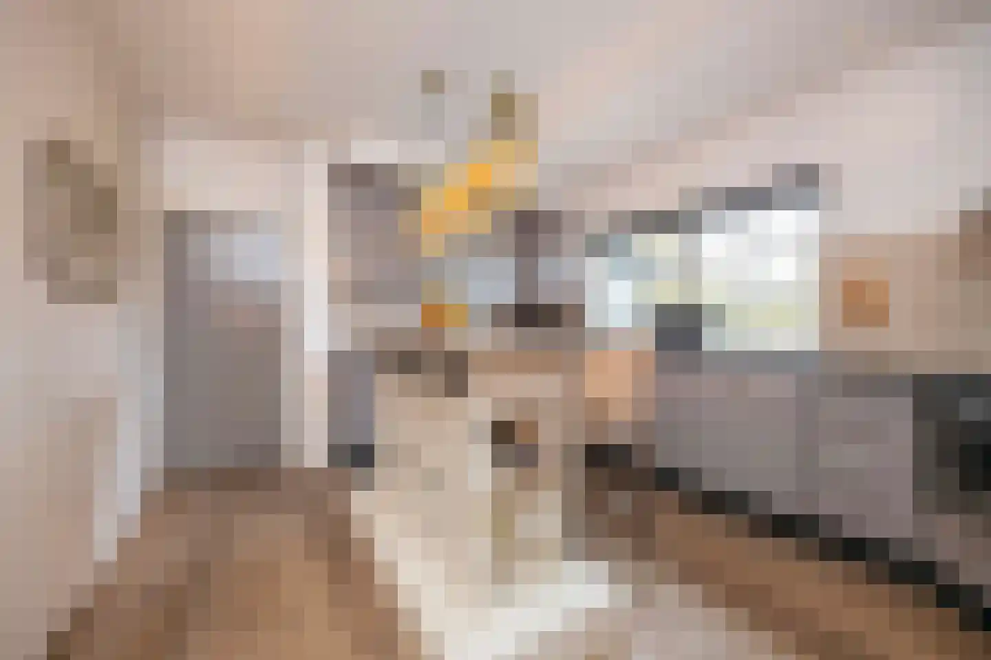 Hamsestraat 24 Liempde thumbnail 18