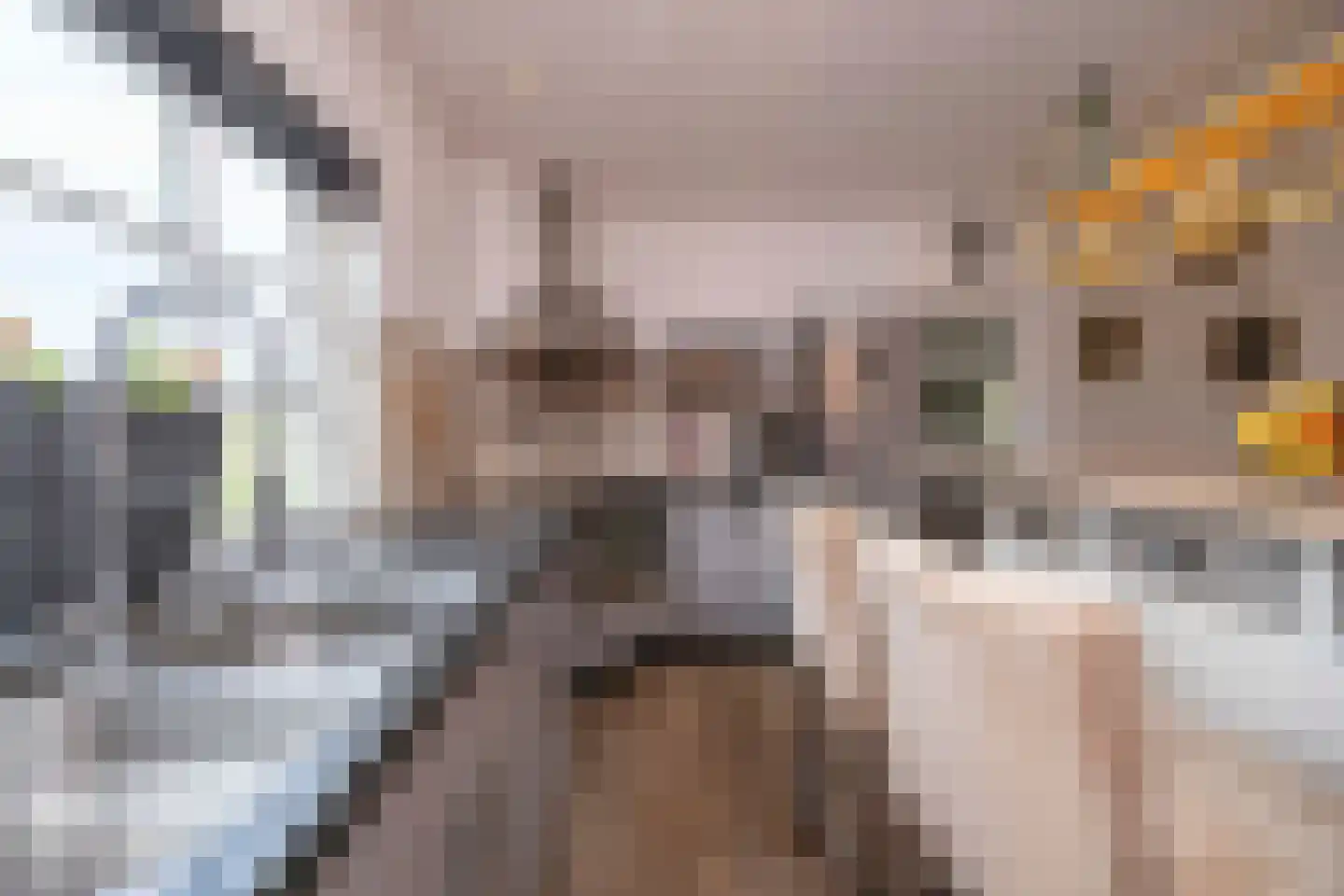 Hamsestraat 24 Liempde thumbnail 19