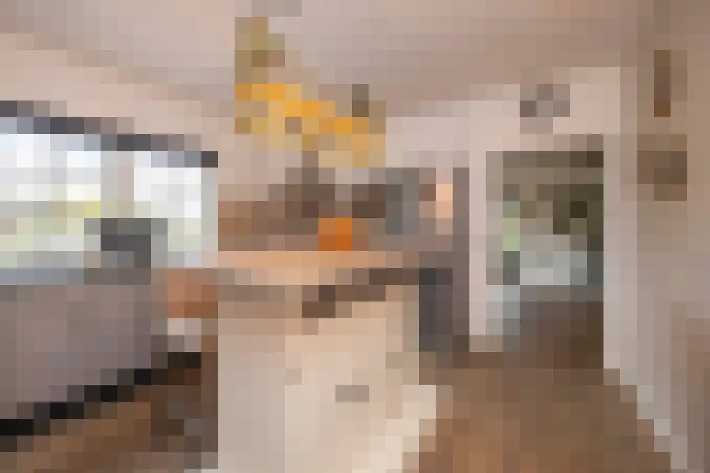 Hamsestraat 24 Liempde thumbnail 20