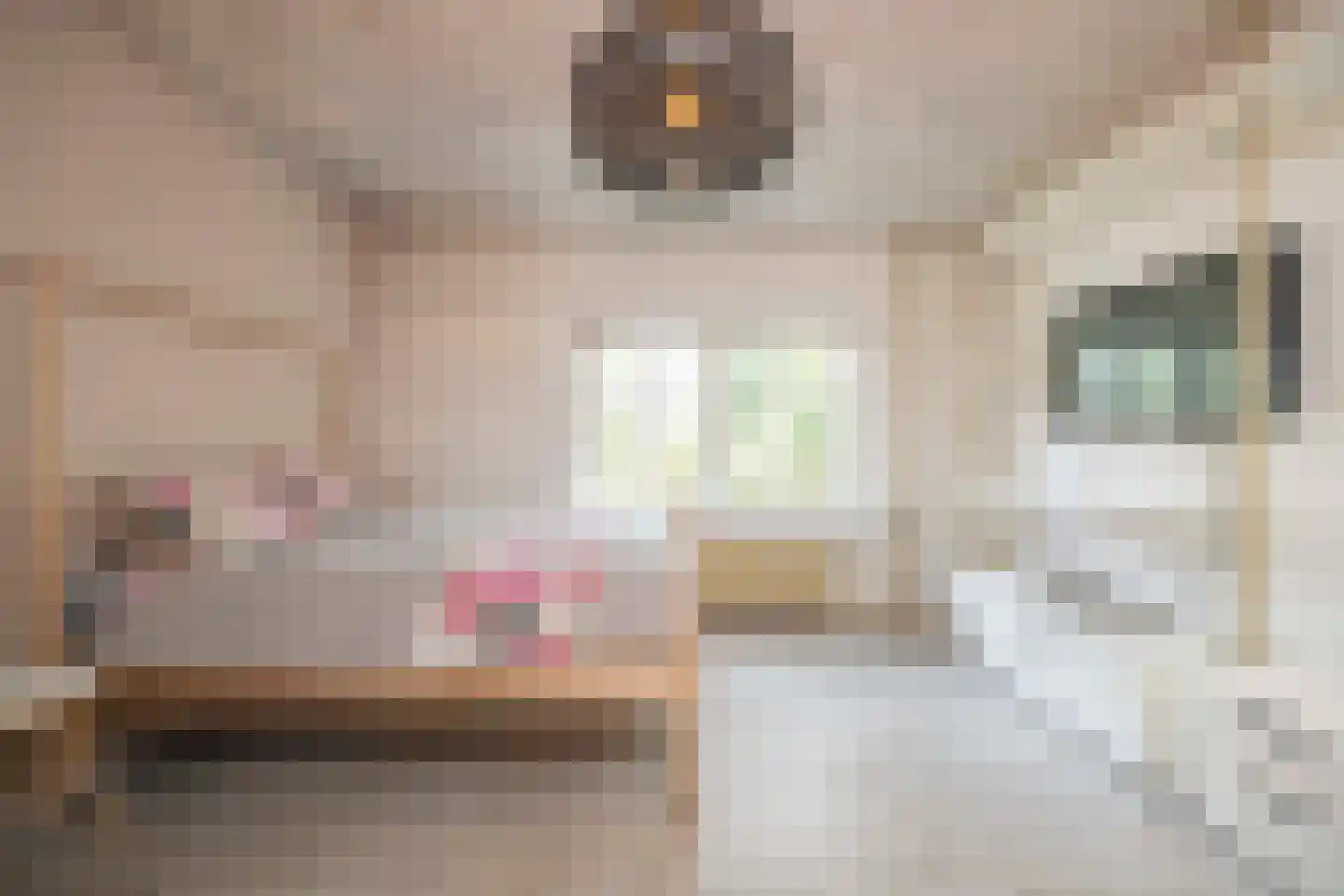 Hamsestraat 24 Liempde thumbnail 21