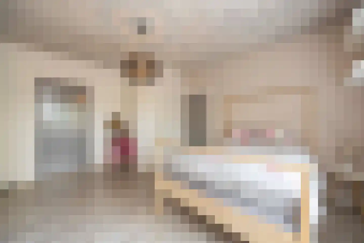 Hamsestraat 24 Liempde thumbnail 22