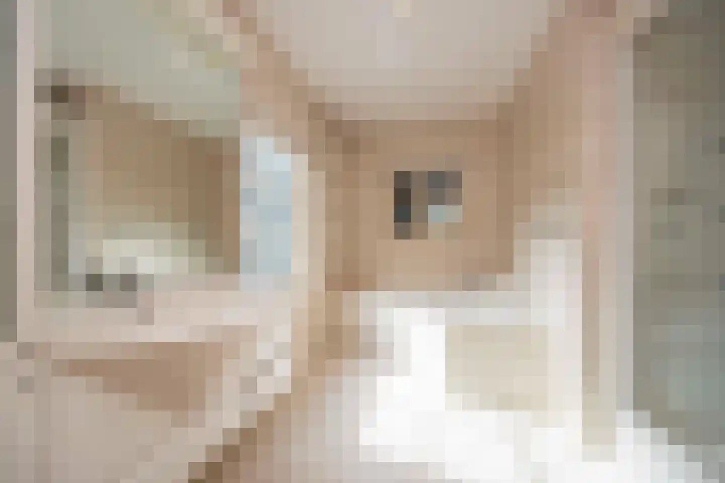 Hamsestraat 24 Liempde thumbnail 23