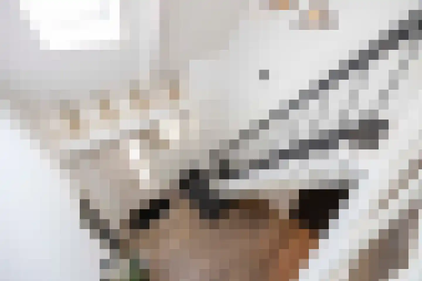 Hamsestraat 24 Liempde thumbnail 26