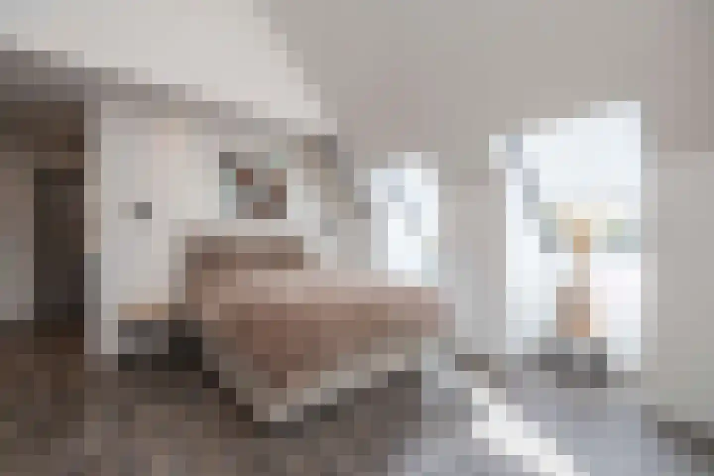 Hamsestraat 24 Liempde thumbnail 28