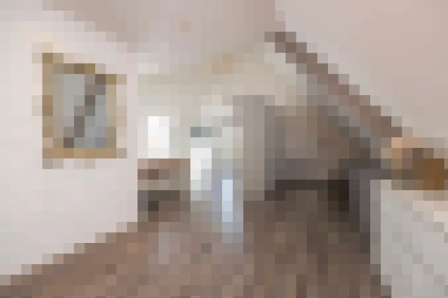 Hamsestraat 24 Liempde thumbnail 29