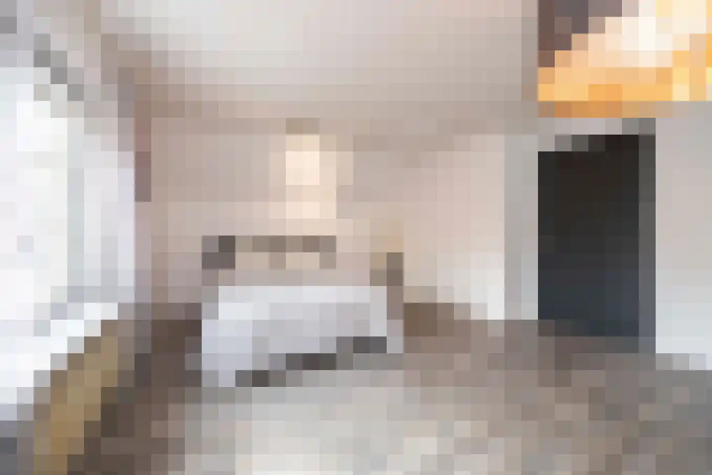 Hamsestraat 24 Liempde thumbnail 32
