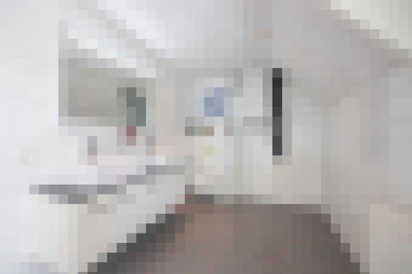 Hamsestraat 24 Liempde thumbnail 34