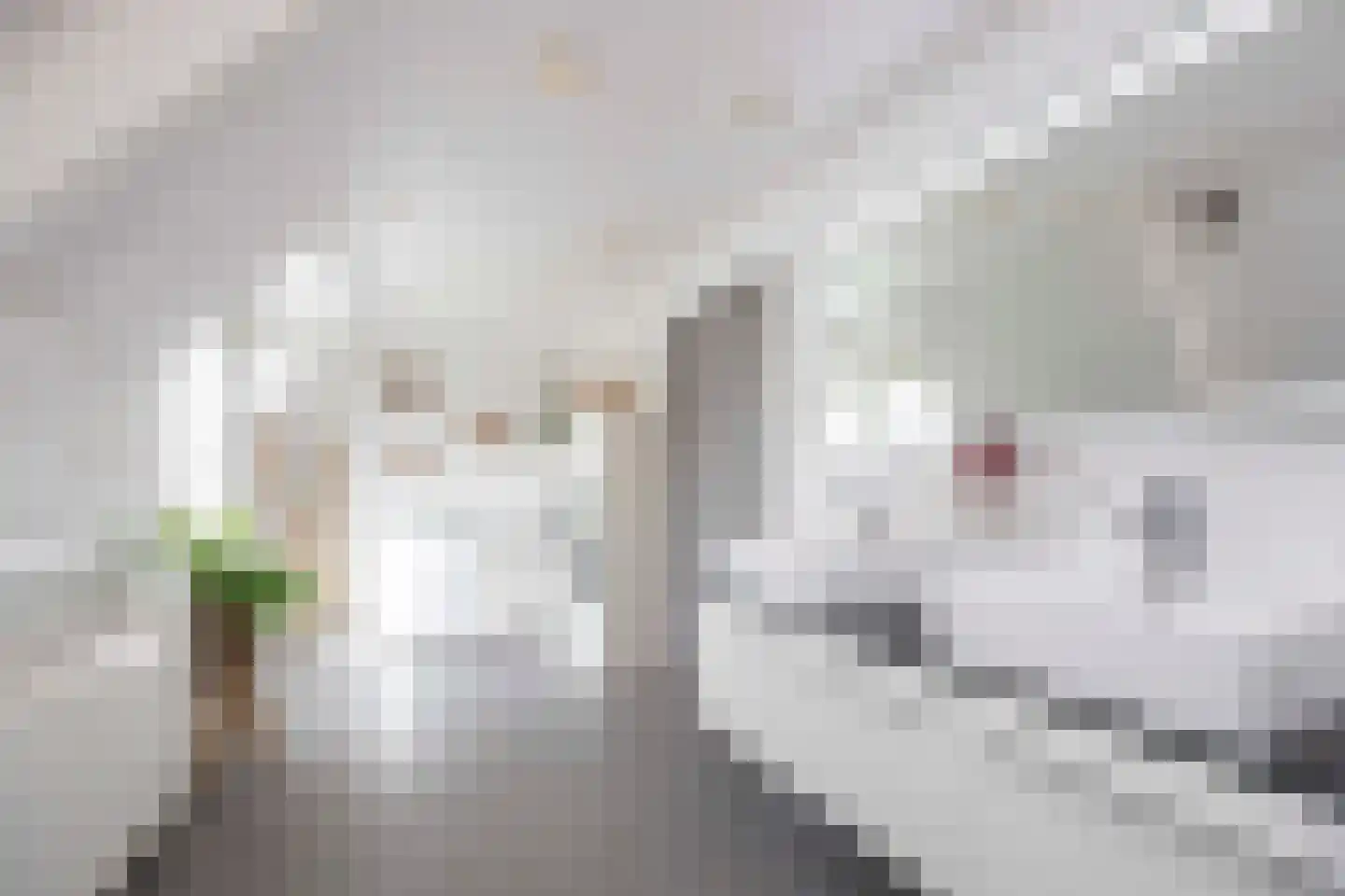 Hamsestraat 24 Liempde thumbnail 35