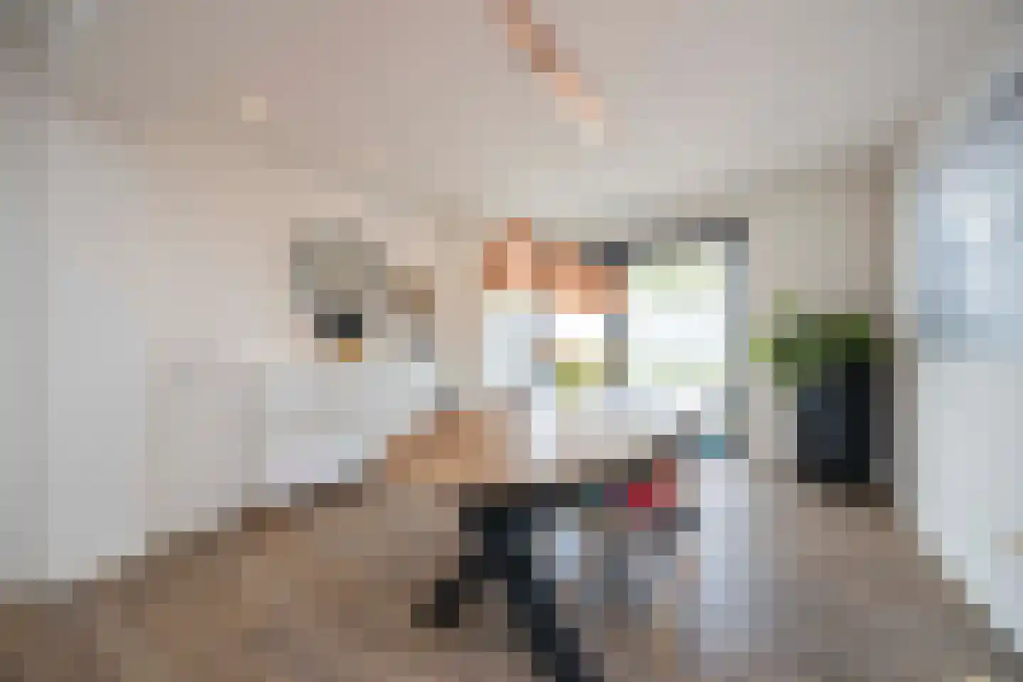Hamsestraat 24 Liempde thumbnail 39