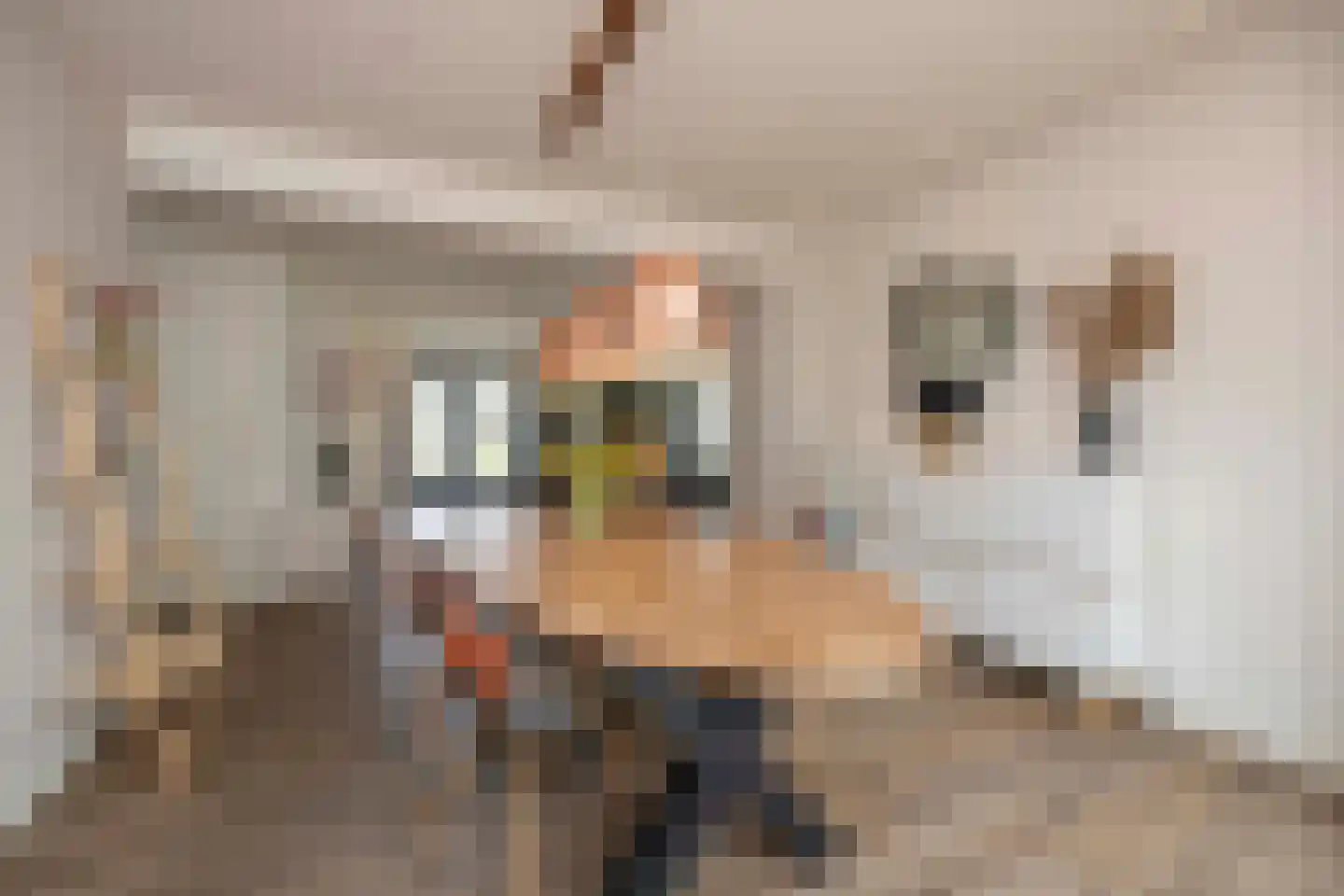 Hamsestraat 24 Liempde thumbnail 40