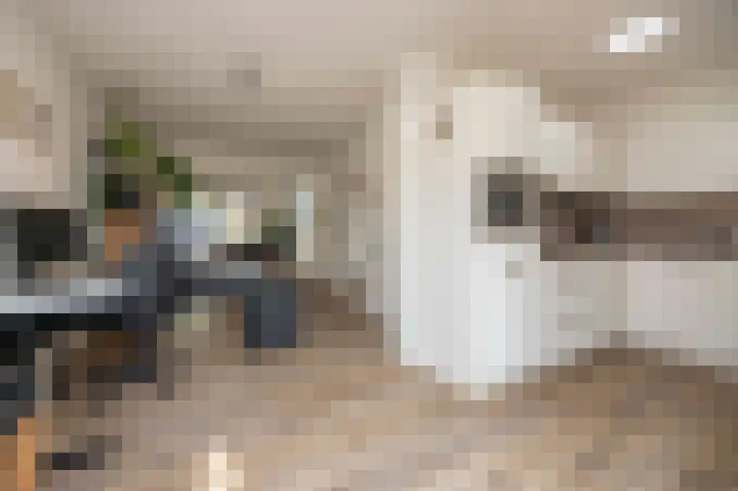 Hamsestraat 24 Liempde thumbnail 42