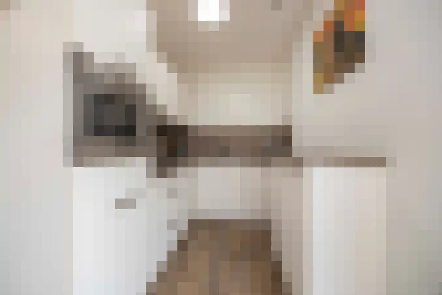 Hamsestraat 24 Liempde thumbnail 43