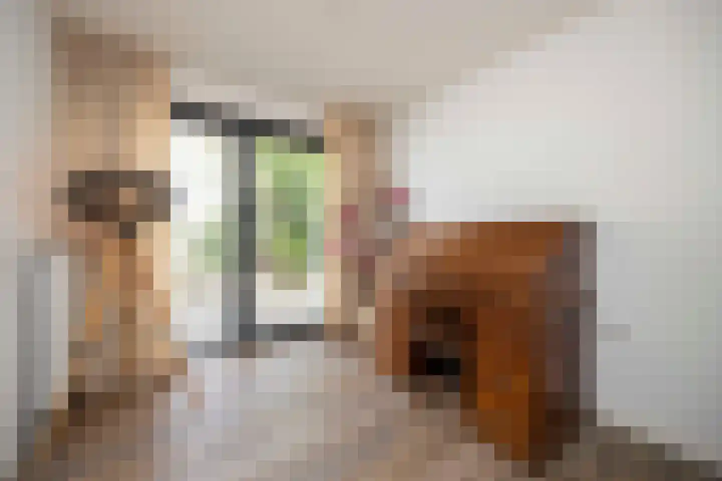 Hamsestraat 24 Liempde thumbnail 44