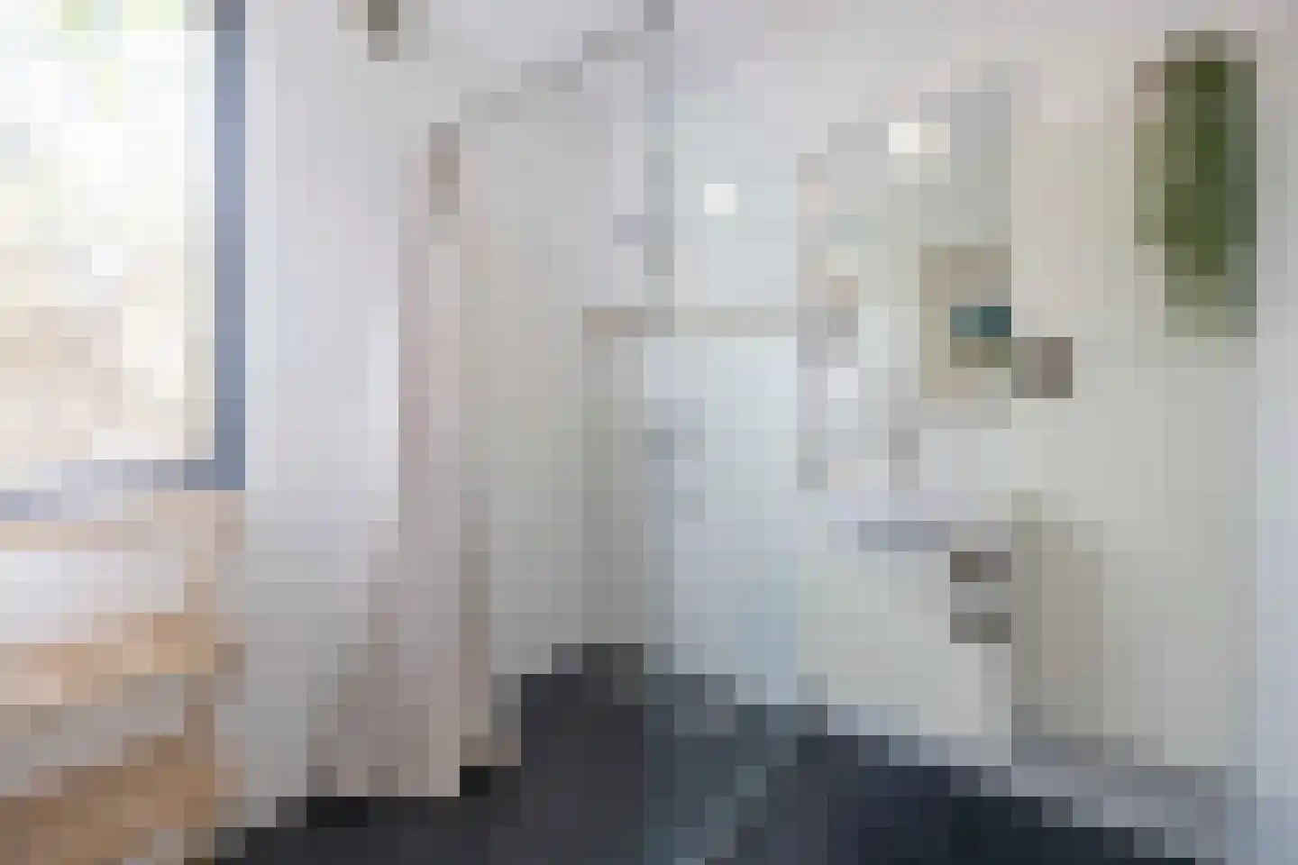 Hamsestraat 24 Liempde thumbnail 45