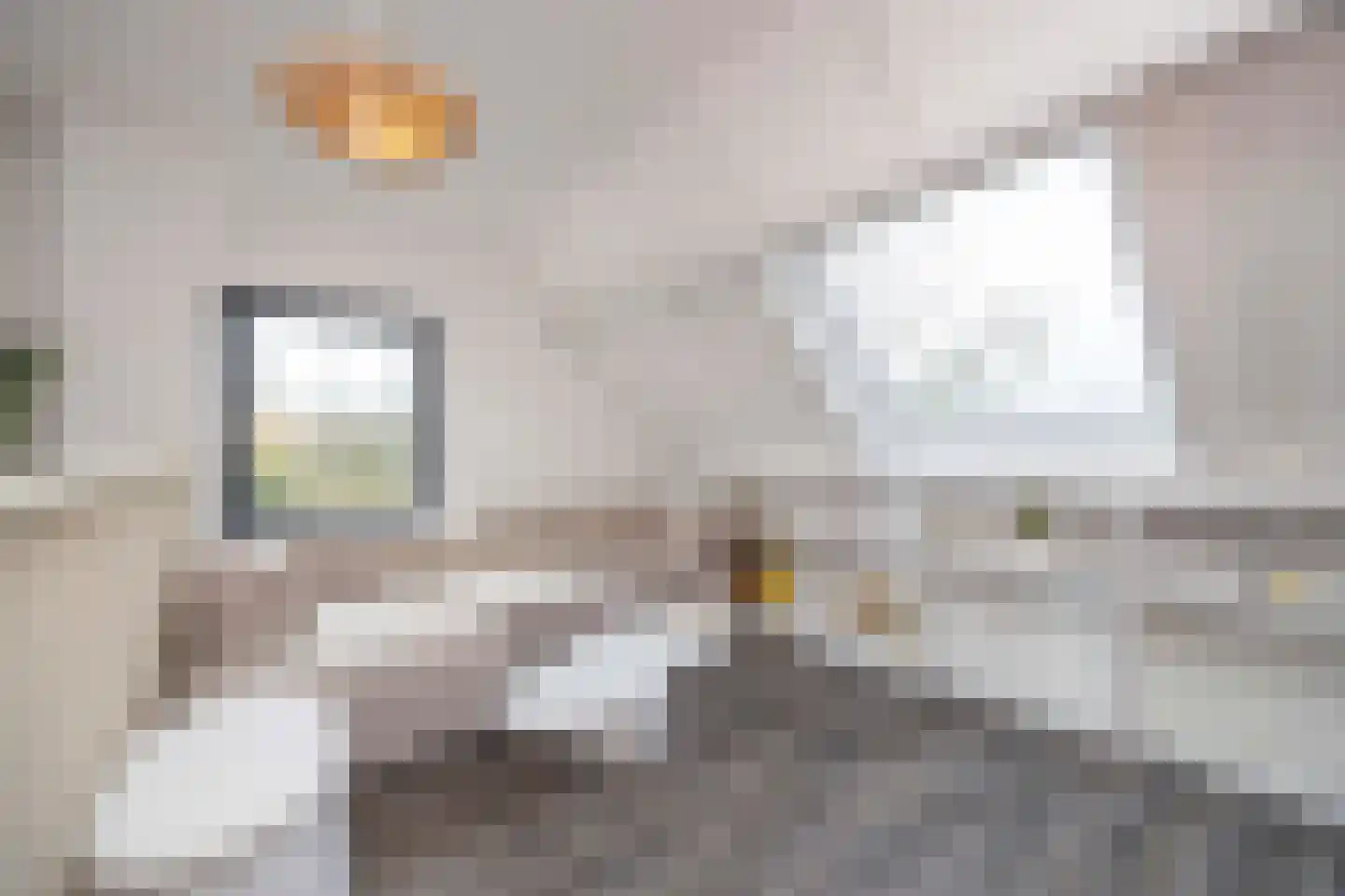Hamsestraat 24 Liempde thumbnail 46