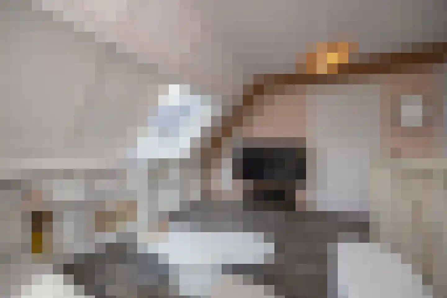 Hamsestraat 24 Liempde thumbnail 47
