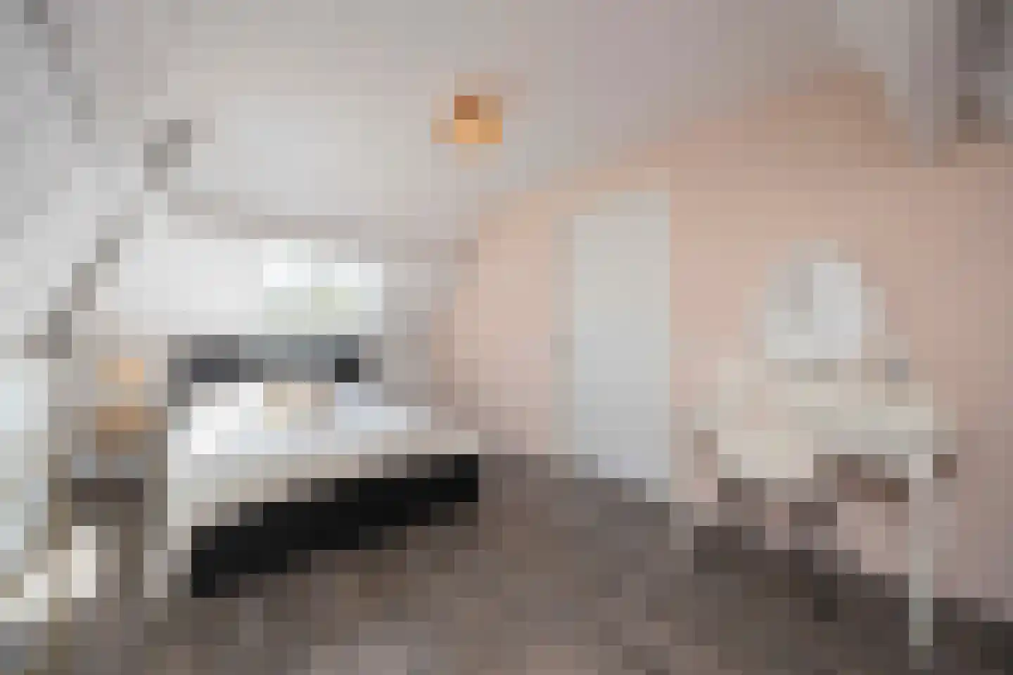 Hamsestraat 24 Liempde thumbnail 48