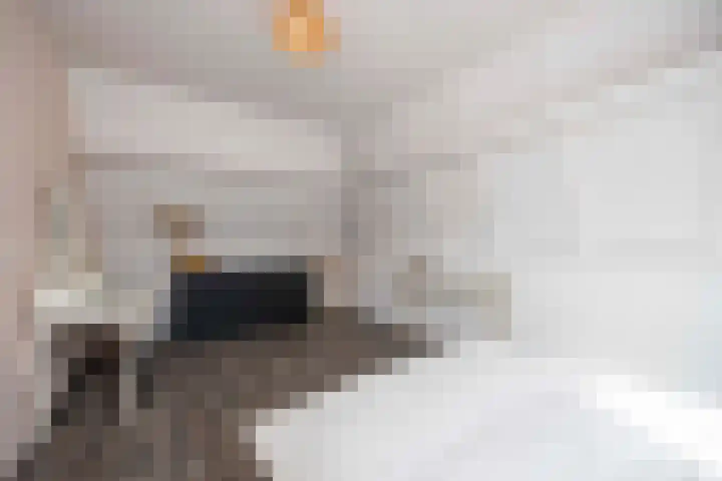 Hamsestraat 24 Liempde thumbnail 49
