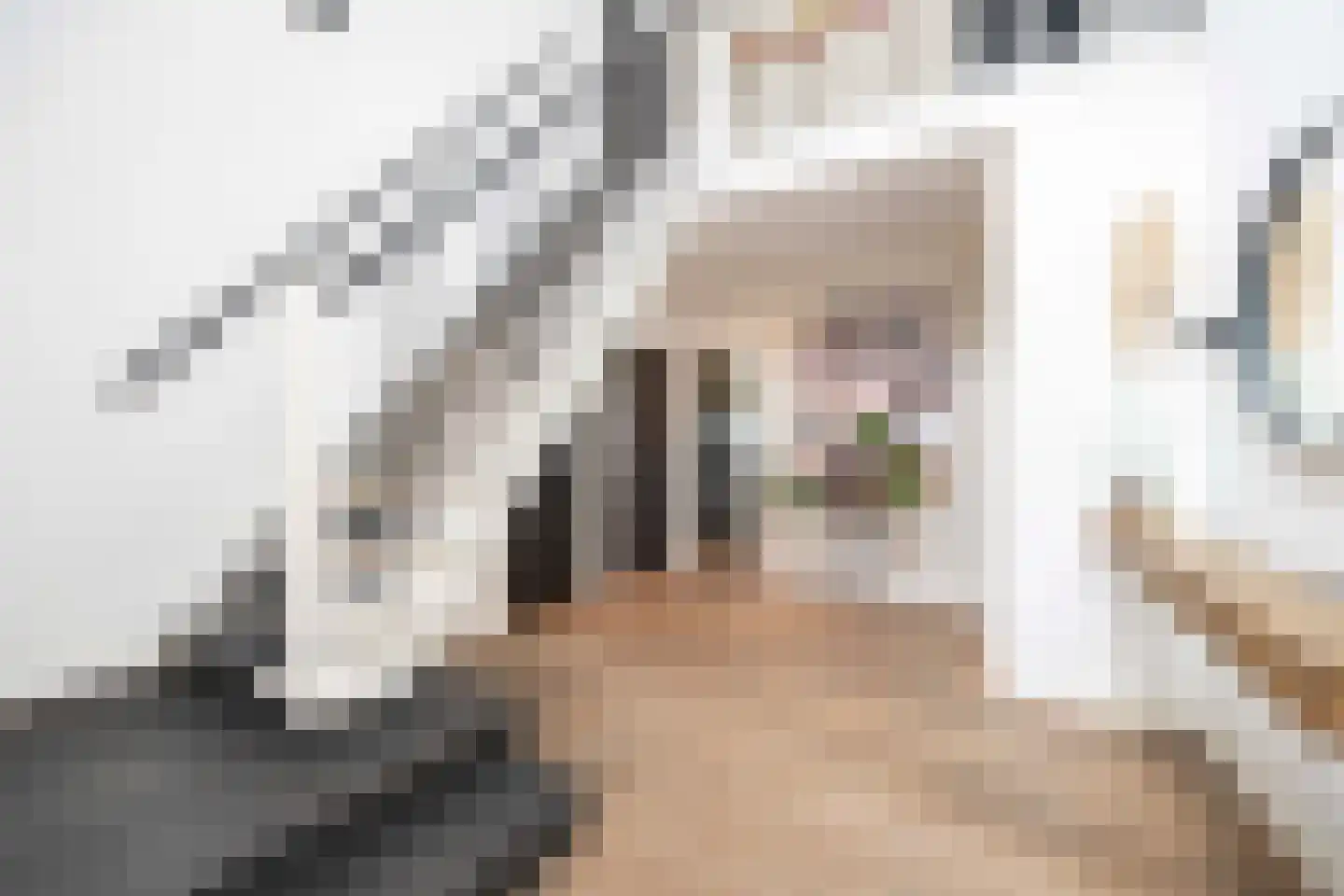Hamsestraat 24 Liempde thumbnail 6