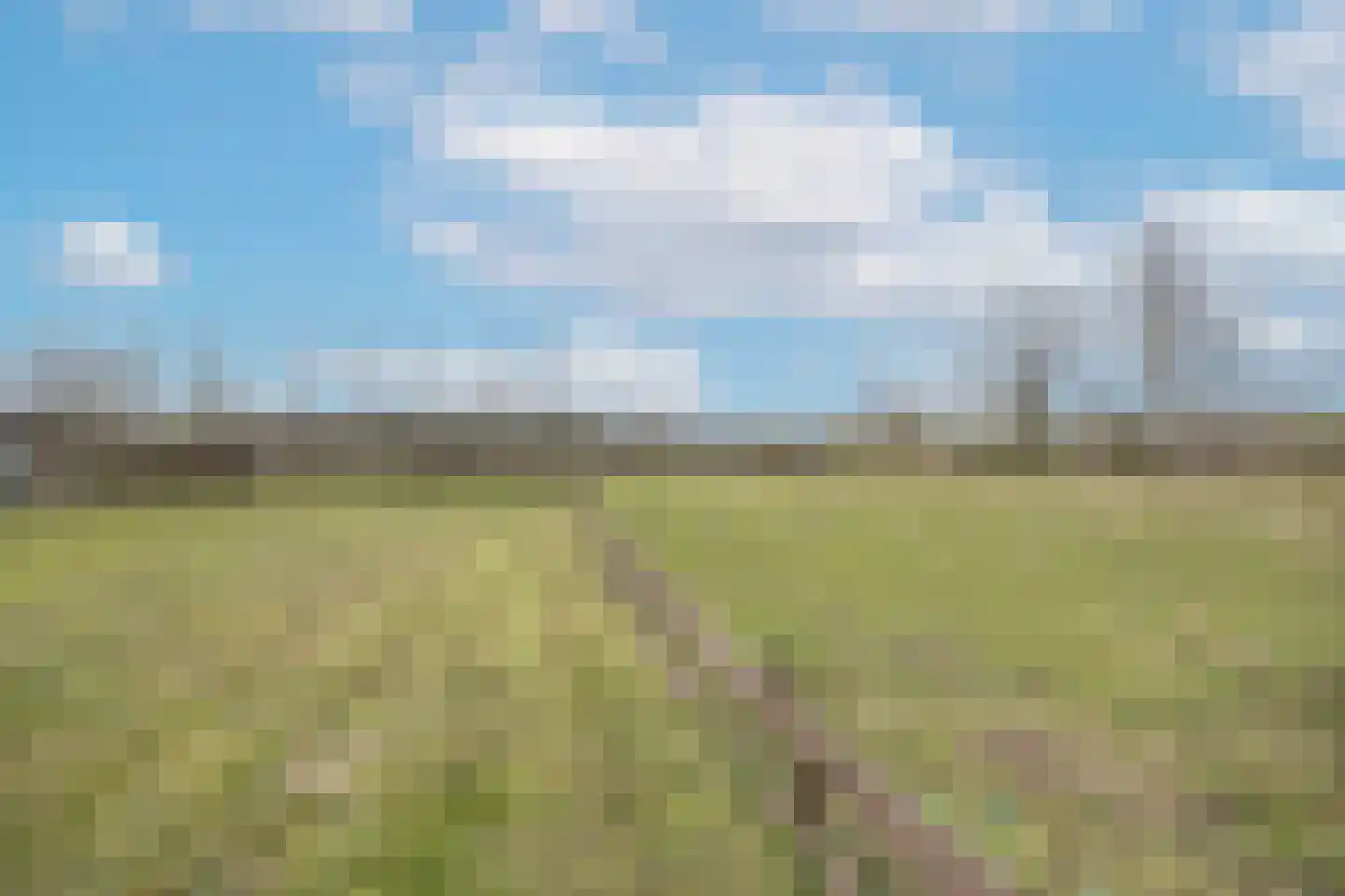 Hamsestraat 24 Liempde thumbnail 61