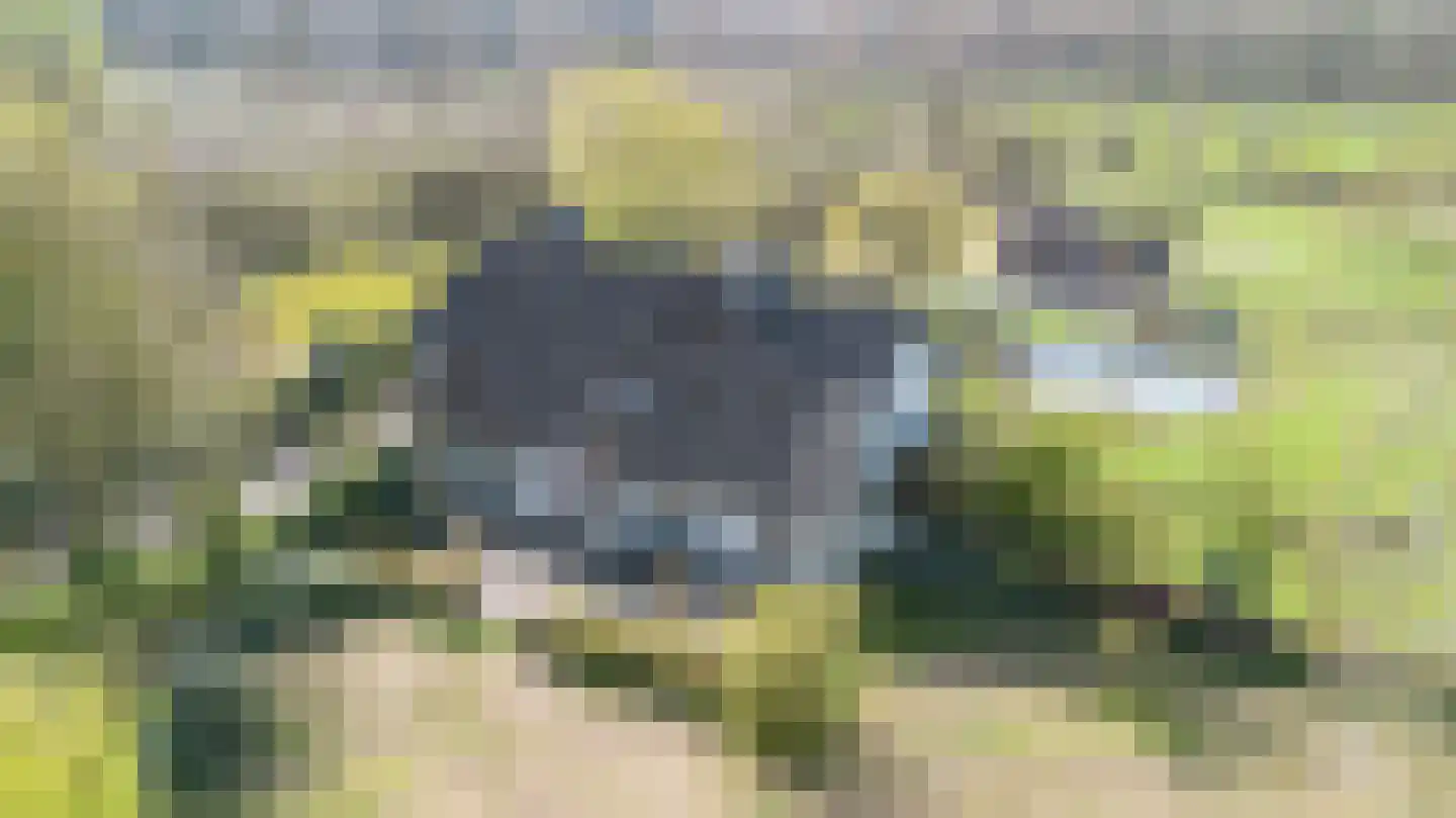 Hamsestraat 24 Liempde thumbnail 65