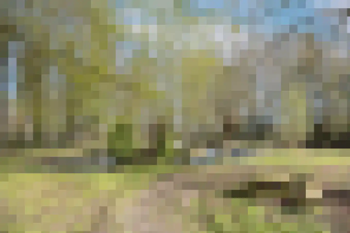 Hamsestraat 24 Liempde thumbnail 67