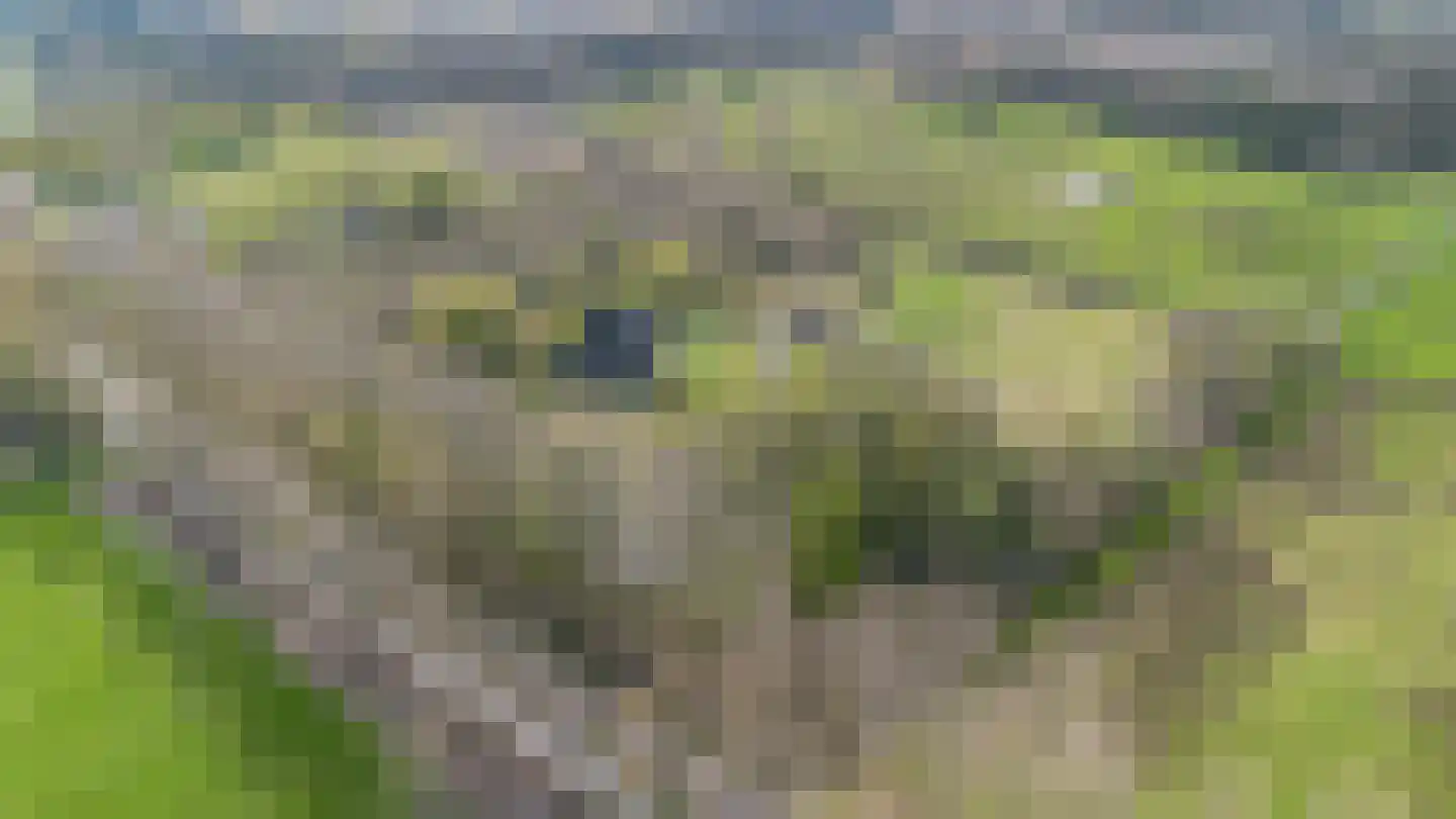 Hamsestraat 24 Liempde thumbnail 68