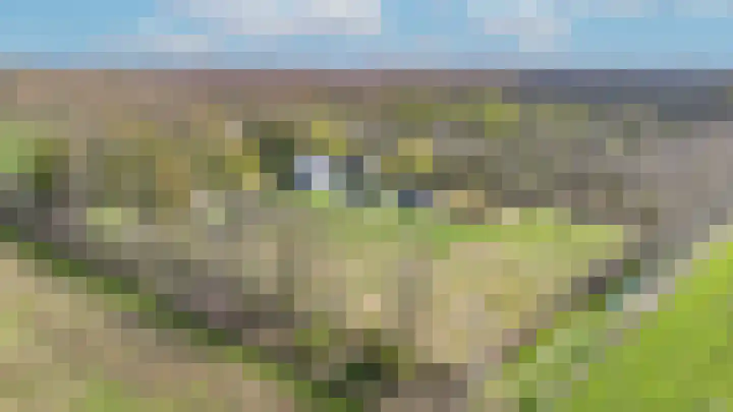 Hamsestraat 24 Liempde thumbnail 69