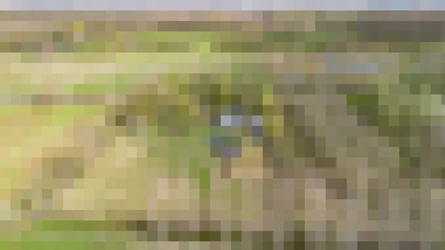 Hamsestraat 24 Liempde thumbnail 71