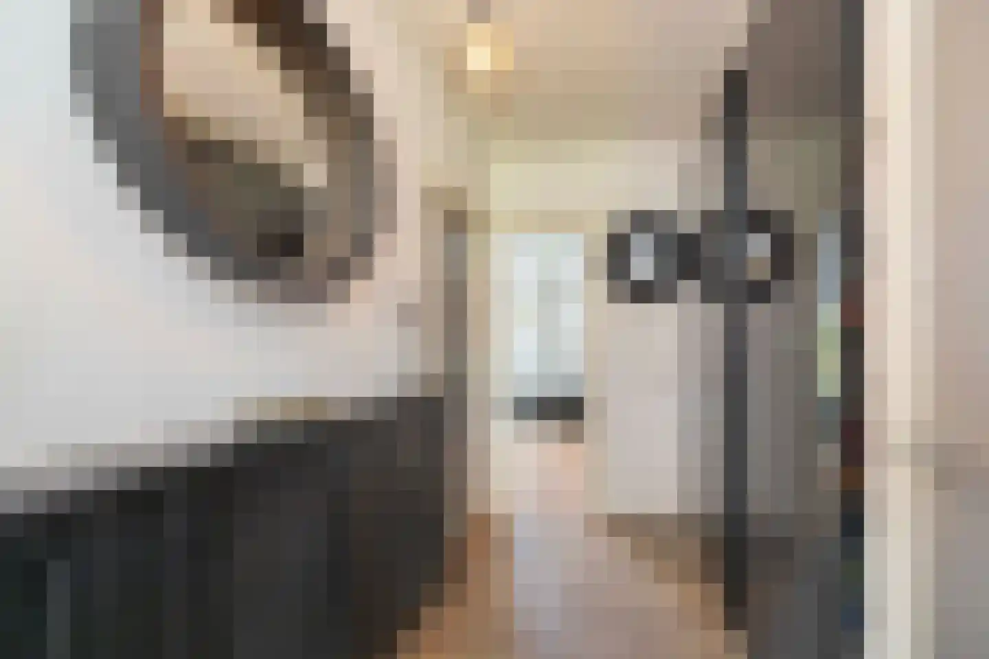 Hamsestraat 24 Liempde thumbnail 8