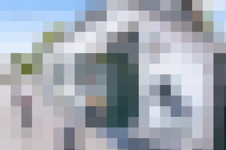 Hamsestraat 63 Opheusden thumbnail 12
