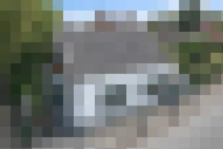 Hamsestraat 63 Opheusden thumbnail 14