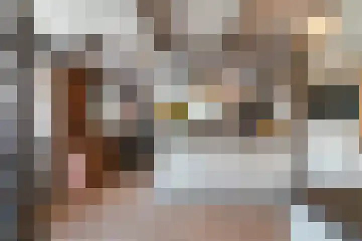 Hamsestraat 63 Opheusden thumbnail 22