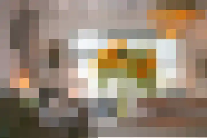 Hamsestraat 63 Opheusden thumbnail 23