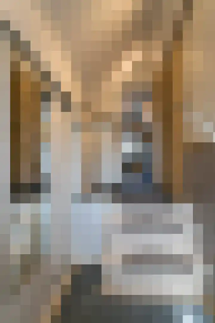 Hamsestraat 63 Opheusden thumbnail 31