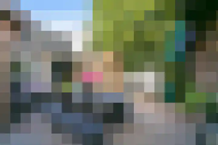 Hamsestraat 63 Opheusden thumbnail 34