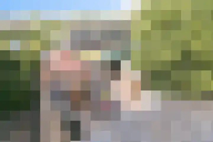 Hamsestraat 63 Opheusden thumbnail 36