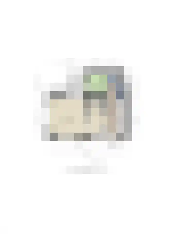 Hamsestraat 63 Opheusden thumbnail 37