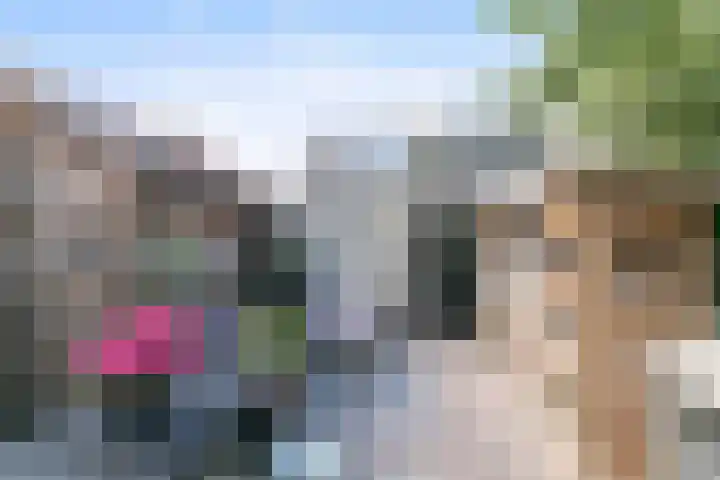 Hamsestraat 63 Opheusden thumbnail 4