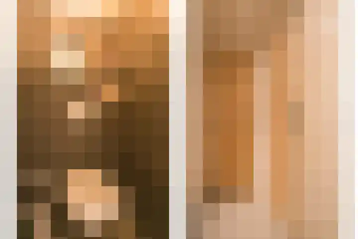 Hamsestraat 63 Opheusden thumbnail 5