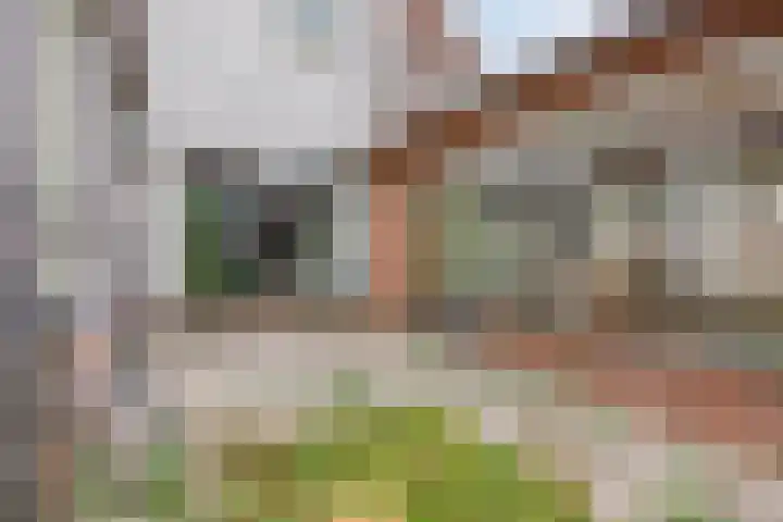 Hamseweg 24 Hoogland thumbnail 43