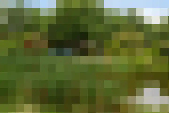 Hamseweg 24 Hoogland thumbnail 47