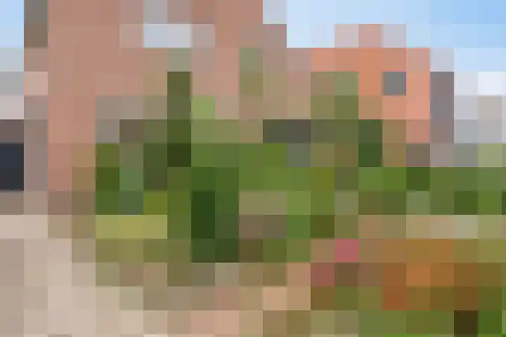 Hamseweg 24 Hoogland thumbnail 9