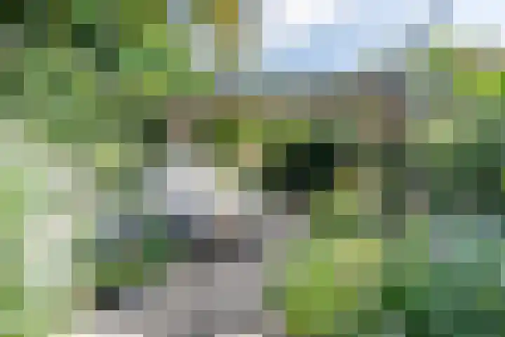 Hamseweg 37 A Hoogland thumbnail 19