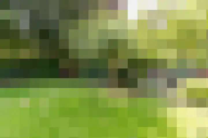 Hamseweg 37 A Hoogland thumbnail 57